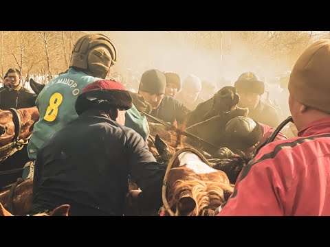Видео: Аламан улак Гүлчө 2024. 2-бөлүк