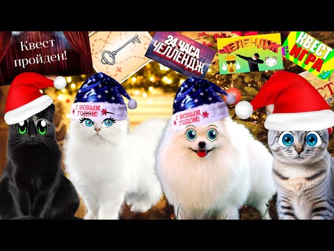 Видео: НОВОГОДНИЕ КВЕСТЫ и ЧЕЛЛЕНДЖИ с нашими ЗВЕРИКАМИ! Подряд 8 серий! Можешь зависнуть!!!