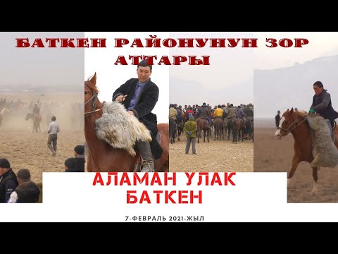 Видео: Аламан улак Баткен району Бужум айылы