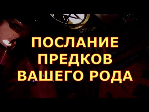 Видео: ЧТО ХОЧЕТ ВАМ СКАЗАТЬ РОД ПО МАТЕРИНСКОЙ ЛИНИИ #таротерапия#таролюбви#таросегодня#кртытаро