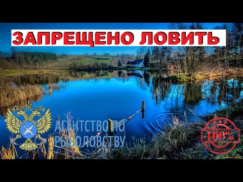 Видео: Разгаданы все секреты ночной ловли судака... Ловля СУДАКА НА ВОБЛЕР! SeMano TV