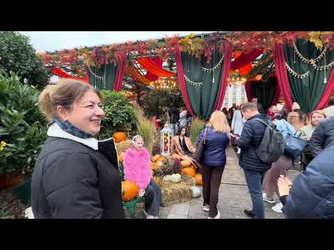 Видео: 11.10.2025 Москва. Охотный ряд #moscow #золотаяосень #street 
