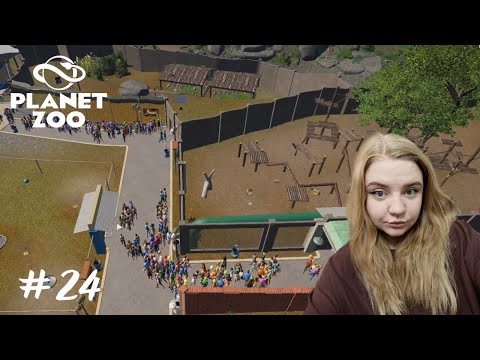 Видео: Рутина в зоопарке ➤Planet Zoo #24