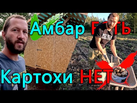 Видео: В этом году действительно ПОТРЯСАЮЩИЙ УРОЖАЙ картошки. Теперь у нас есть амбар. Очень много сока.