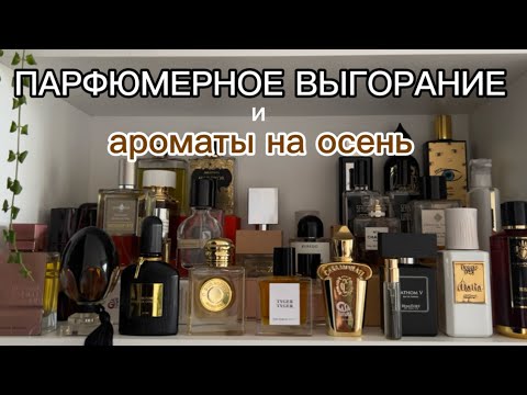 Видео: Большая осенняя полка с парфюмом | что буду носить на холода |  #парфюмерия 