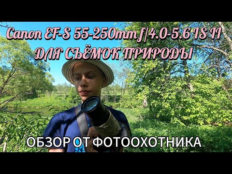 Видео: Объектив Canon EF-S 55-250mm f/4.0-5.6 IS II для съемок природы. Обзор от фотоохотника.