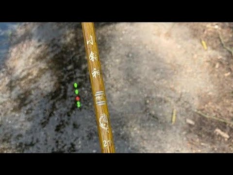 Видео: Ловля Ротана На Поплавок.Разведка Новых Мест.Ловля в Приглядку.