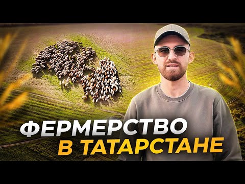 Видео: Фермерство в ТАТАРСТАНЕ. Начало БОЛЬШОГО пути 
