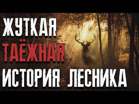 Видео: Жуткая таёжная охота история Лесника. Страшные истории на ночь. Мистические страшные истории. ЛИКАН