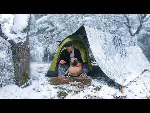Видео: Зимние лагеря - лучшие снежные лагеря 2024 года