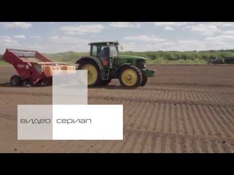 Видео: Технология возделывания картофеля DuPont. 3 серия