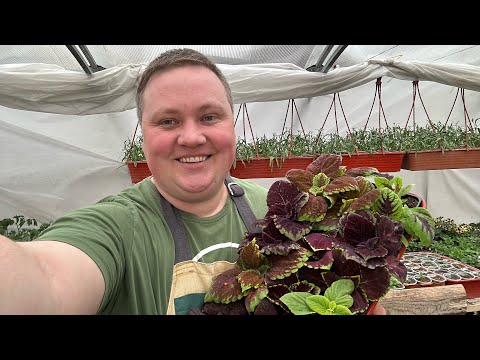 Видео: От такой красоты кружится голова!😍 Пора  всё пересаживать!🌼🌼🌼