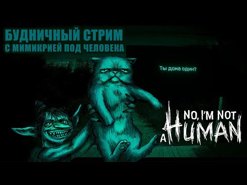 Видео: будничный стрим No i'm not a human, поднимающий важные вопросики