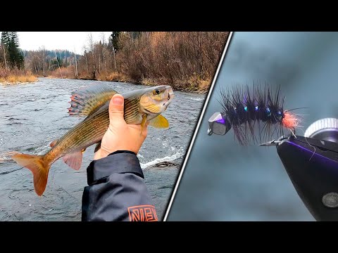 Видео: Мушка Пальмер с Многогранной головкой после успешного испытания