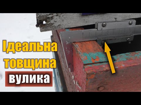 Видео: Чи впливає товщина вулика на зимівлю бджіл? З якого дерева робити вулик?