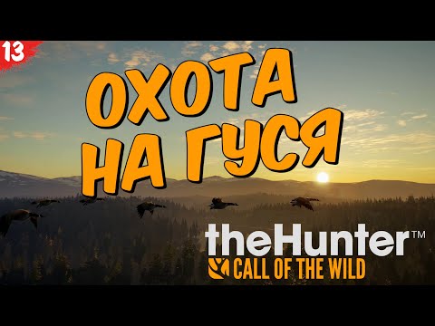 Видео: theHunter Call of the Wild #13 - Охота на Тундрового Гуменника и казарку - Побережье Ревонтули