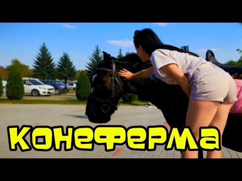 Видео: VLOG: Отдых на природе. ЕЛИЗОВЕТОВСКАЯ КОНЕФЕРМА. ЗООПАРК.