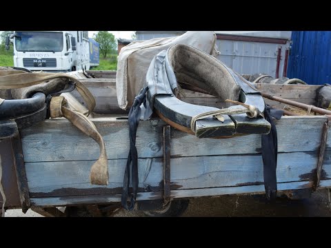 Видео: Гужи для хомута: из чего сделать?