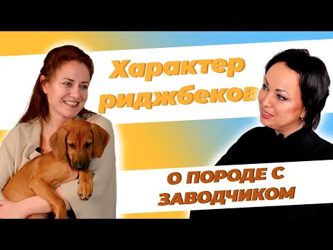 Видео: Родезийский риджбек - характер породы. Мнение заводчика