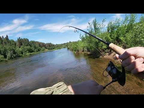 Видео: На перекате взяла хорошая щука ну и головля я тоже поймал
