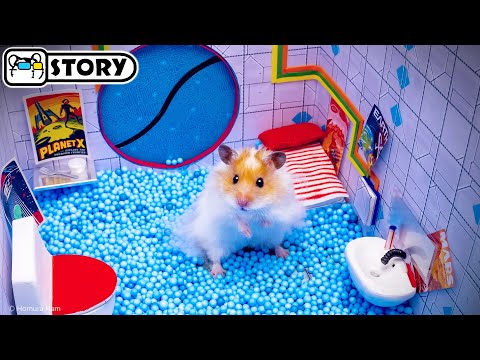 Видео: 🐹 Хомяк сбегает из Лунного лабиринта 🐹 Хомура Хам Питомцы