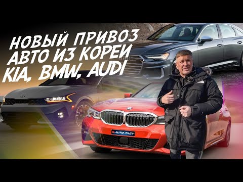 Видео: ПРИВОЗ АВТО ИЗ КОРЕИ! KIA K5, BMW 3, AUDI A6. АВТО В ОТЛИЧНОМ СОСТОЯНИИ! AUTOFACT!
