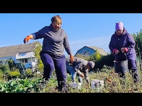 Видео: Сегодня будет бешбармак за хорошую работу😂😂😂Канев