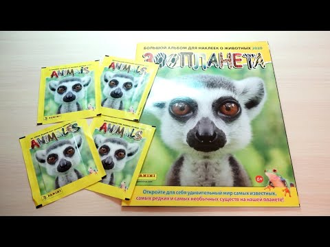 Видео: PANINI Зоопланета 2020. Обзор журнала и первые наклейки