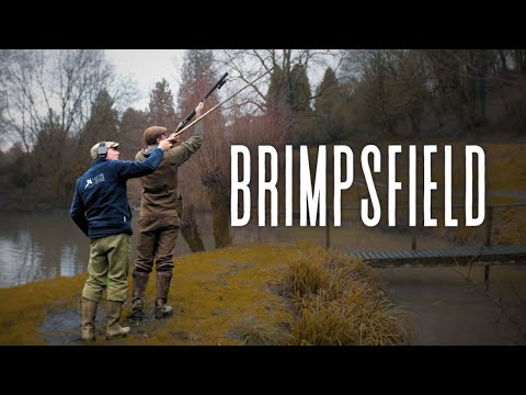 Видео: Сердце Котсуолдса — британская загонная охота на фазанов