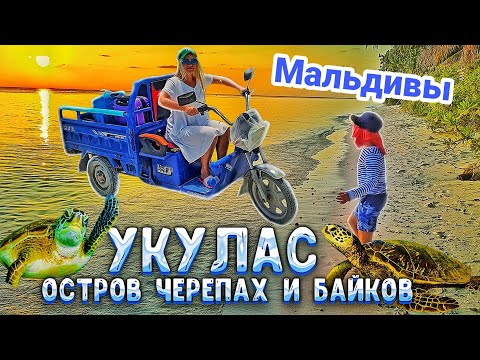 Видео: Мальдивы. Остров Укулас. Еда на Мальдивах