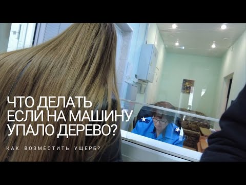 Видео: Что делать если на вашу машину упало дерево?ПРОДОЛЖЕНИЕ ИСТОРИИ...