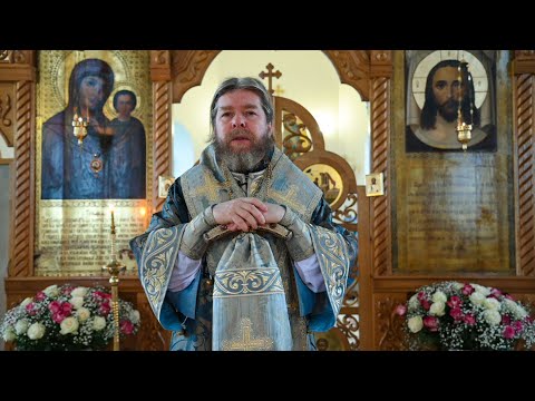 Видео: Слово митрополита Псковского и Порховского Тихона в день празднования Казанской иконы Божией Матери