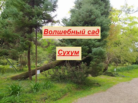 Видео: Сухум.  Волшебный ботанический сад