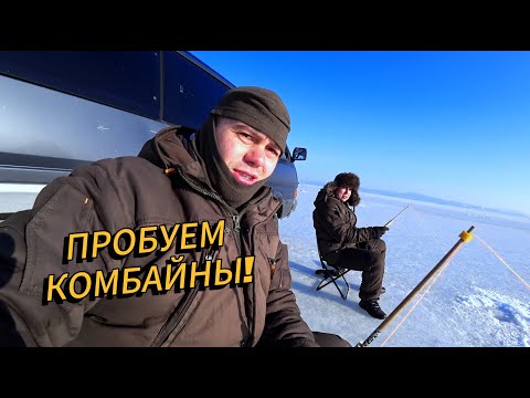Видео: В первый раз ловим на комбайны | Зимняя рыбалка на навагу