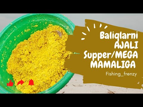 Видео: SAZAN/AMUR va shunga o'xshash baliqlarning AJALI Super/MEAGA MAMALIGA#сазан #ribalka #recommended