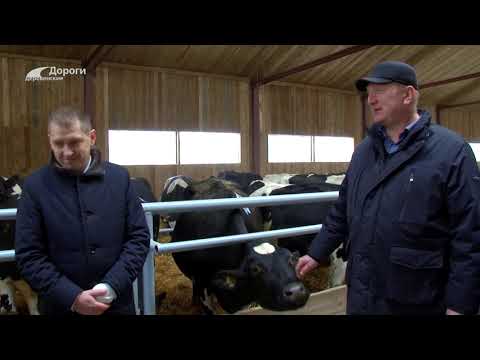 Видео: Дороги деревенские 09.12.22