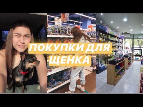 Видео: ПОКУПКИ ДЛЯ ЩЕНКА|готовимся к появлению щенка дома