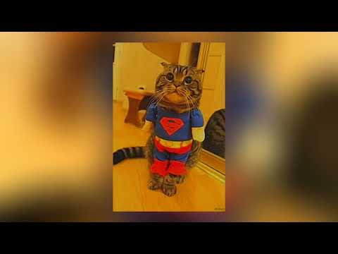 Видео: Мираж-Новый герой(Speed up)