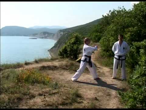 Видео: Видеоэнциклопедия таэквондо ИТФ.Красный пояс.