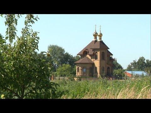 Видео: «Сельский порядок». Бутово Яковлевского округа (19.06.2019)