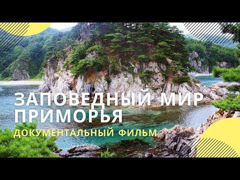 Видео: «Заповедный мир Приморья» | Документальный фильм