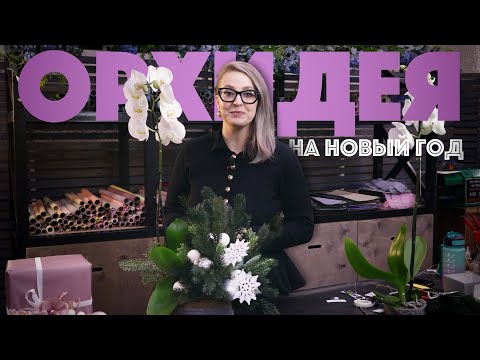 Видео: Орхидея вместо ёлки? Смотрите, как создать новогоднюю композицию.