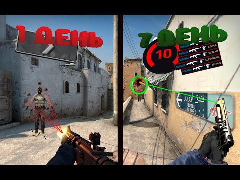 Видео: Я ТРЕНИРОВАЛ АИМ 7 ДНЕЙ В CS2 / И ЧТО ИЗ ЭТОГО ВЫШЛО