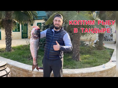 Видео: КОПТИМ РЫБУ В ТАНДЫРЕ.