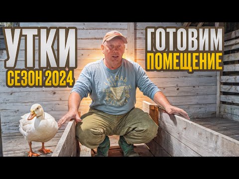 Видео: УТКИ сезон 2024: подготавливаю помещения, отвечаю на вопросы. "Мое Подворье"