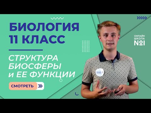 Видео: Структура биосферы и ее функции. Видеоурок 30. Биология 11 класс