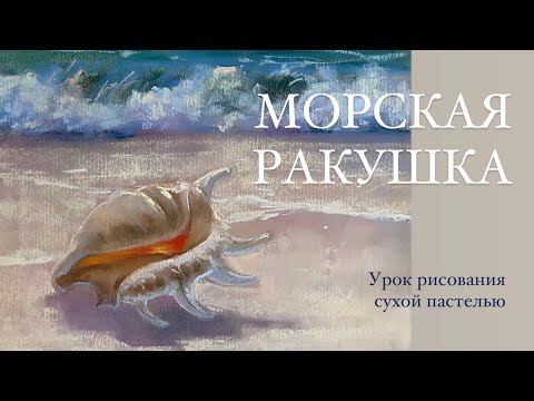 Видео: Рисуем морскую раковину сухой пастелью. Легко и быстро.