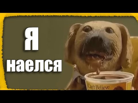 Видео: ОБЗОР на все ГАЧА игры СРАЗУ.