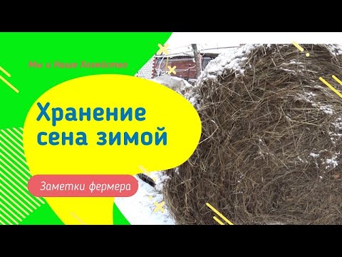 Видео: Как правильно хранить сено зимой в рулонах. Секреты  фермера