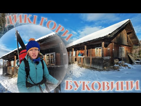 Видео: Дикі гори БУКОВИНИ, неподалік румунського кордону. Колишній центр лісозаготівлі, де жили люди